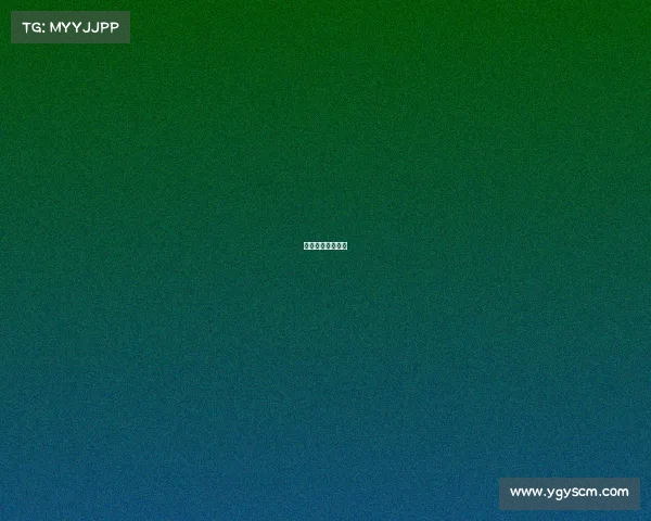 小浣熊电竞工作室